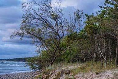 币安电脑版下载安装-币安电脑版下载安装完整指南，安全便捷的交易体验